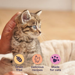 Chicken Fillet Recipes in Gravy for Kittens 8 x 85g