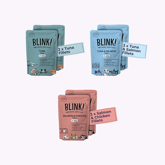 Fish Fillet Recipes in Jelly 8 x 85g