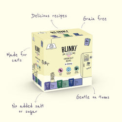 Chicken Fillet Recipes in Gravy for Kittens 8 x 85g