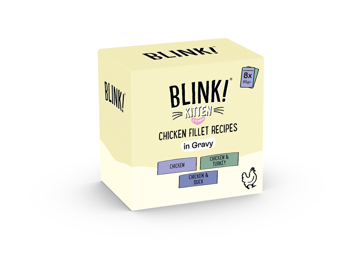 Chicken Fillet Recipes Gravy Kittens 8 x