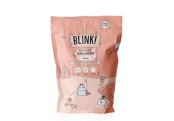 Succulent Salmon Dry Food 2kg